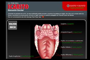 Evaluación Sitio Web: ICARITO